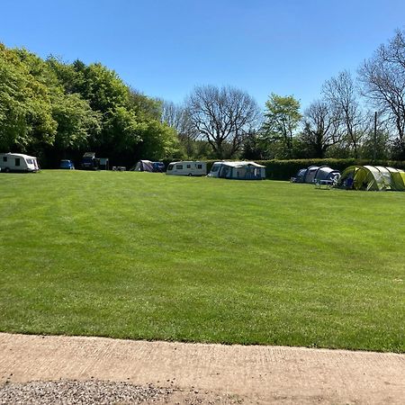 Bank Top Camping-North York Moors With Pitches For Caravans, Camper Vans And Tents Hotell Pickering Eksteriør bilde